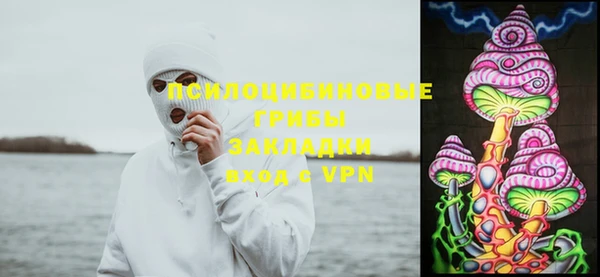 мдпв Горняк