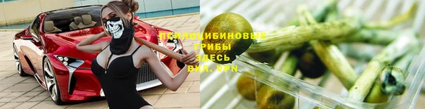 мдпв Горняк
