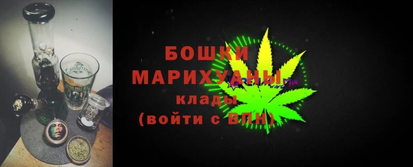 крисы Горнозаводск