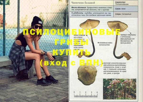 метамфетамин Вяземский