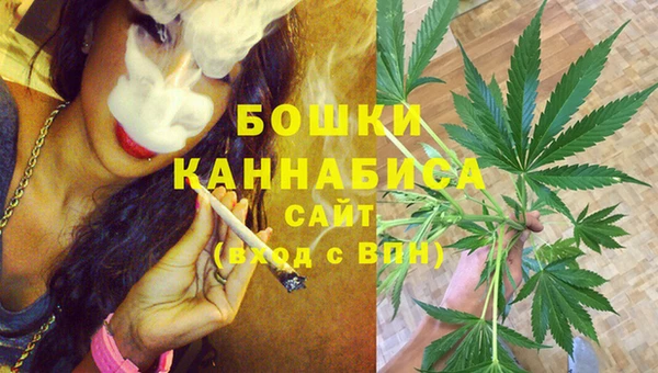 мяу мяу мука Вязьма