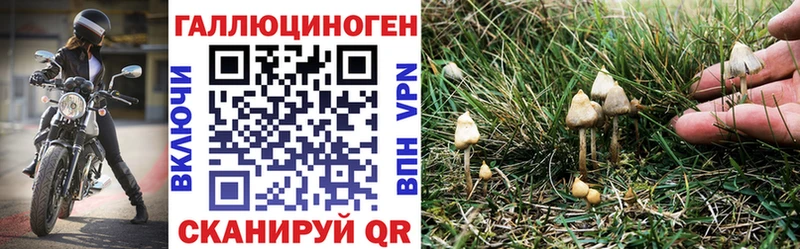 Галлюциногенные грибы Cubensis  купить наркотик  Чердынь 